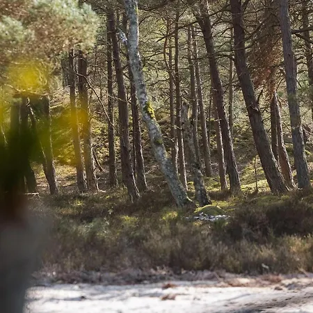 Stunning In With Wifi 펜션 *