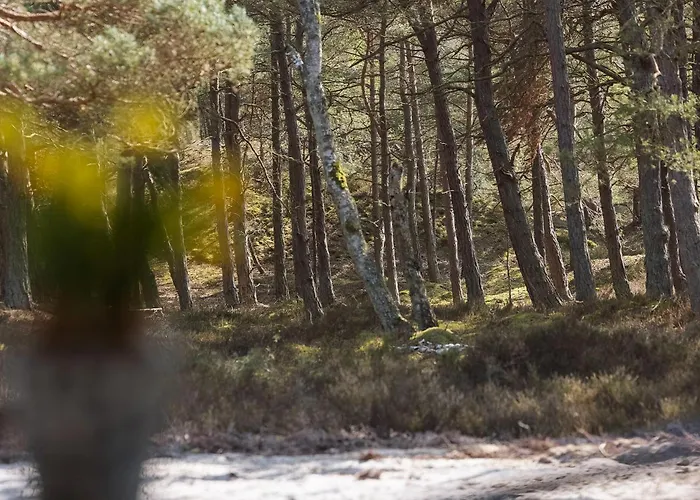 Stunning In With Wifi 펜션 *